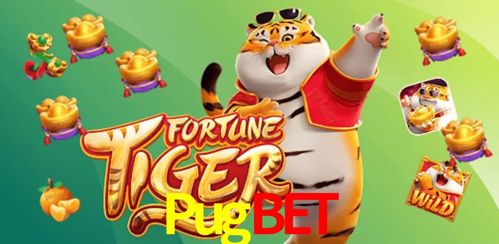 Experiência VIP Pugbet
