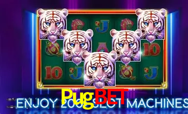 Descubra a Essência do Pugbet: Nossa História e Compromissos